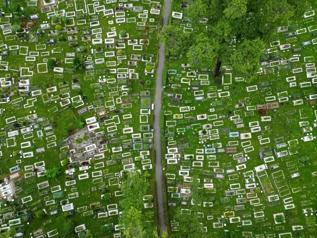 An aerial view of a community land trust project, showing a mix of affordable housing units and community gardens. The layout emphasizes communal spaces and green areas, highlighting the focus on community building and sustainable living within the land trust.