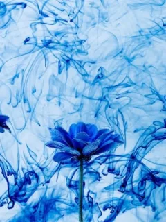 Alternative Photography in the US: 3 Artists to Watch in 2025 - Cover Image