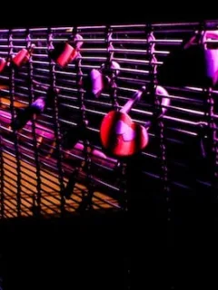 US Underground Dance Music: 4 Subgenres to Watch in 2025 - Cover Image