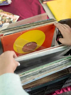 Vinyl in US music market 2025