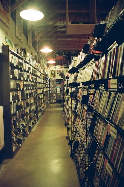 A shelf filled with a diverse collection of vinyl records in an independent record store, highlighting different genres, album covers, and colors, creating a visually appealing display of alternative music culture.
