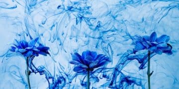 Alternative Photography in the US: 3 Artists to Watch in 2025 - Cover Image