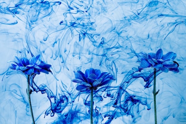 Alternative Photography in the US: 3 Artists to Watch in 2025