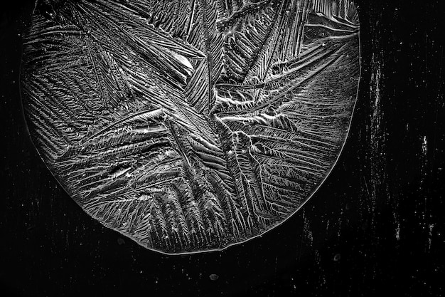 A close-up of a tintype portrait, showing the incredible detail and unique texture of the metal surface, highlighting the imperfections and tonal richness.