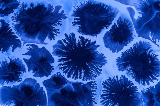 A close-up shot of a cyanotype print featuring a complex botanical pattern. The deep blue tones are rich and textured, highlighting the intricate details of the plants used to create the image. The print has a slightly distressed, vintage feel, adding to its unique character.