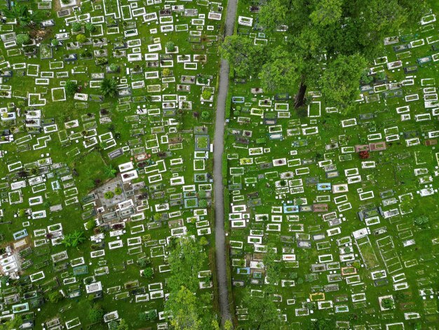An aerial view of a community land trust project, showing a mix of affordable housing units and community gardens. The layout emphasizes communal spaces and green areas, highlighting the focus on community building and sustainable living within the land trust.