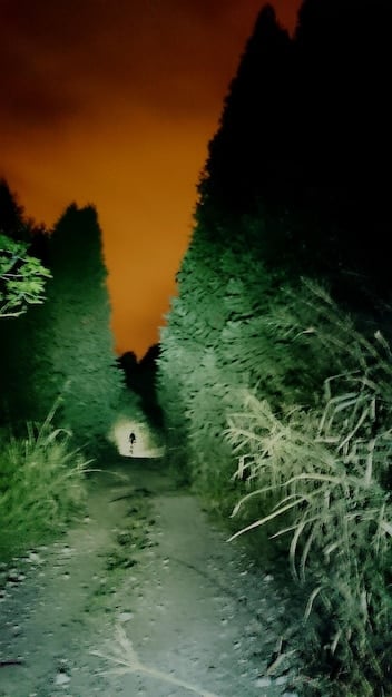 Dark Ecology: US Subcultures & Climate Change Art Activism