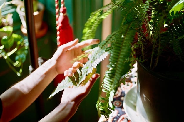 A close-up shot of hands carefully tending to a small garden, showcasing the connection between slow living and sustainable practices.