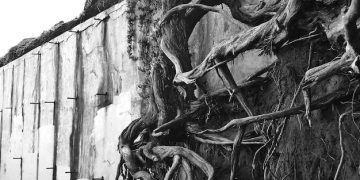 Dark Ecology: US Subcultures Confronting Climate Change Through Art - Cover Image
