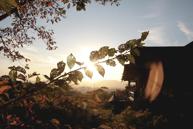 Tiny House Subculture: Minimalism & Sustainability in US Housing
