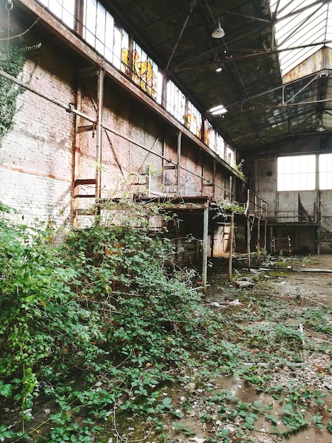 A poignant shot of an abandoned factory building in a decaying industrial town, with overgrown weeds and broken windows, conveying a sense of economic decline and neglect.