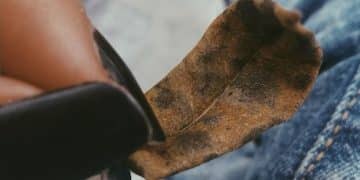 DIY Underground Fashion: Distress Denim Like a Pro & Save 40% - Cover Image
