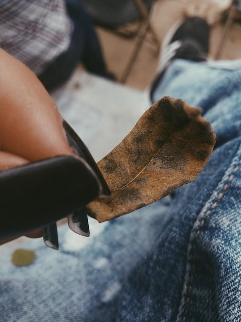 DIY Underground Fashion: Distress Denim Like a Pro & Save 40%